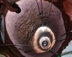 thumb-image-2024-02-29T14:07:25.129Z