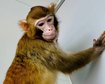 thumb-image-2024-02-29T14:07:24.806Z