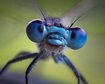 thumb-image-2024-02-29T14:07:25.894Z