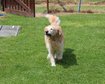 thumb-image-2024-02-29T14:07:26.142Z