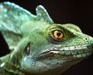 thumb-image-2024-02-29T14:07:26.350Z
