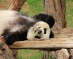 thumb-image-2024-02-29T14:07:27.365Z