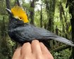 thumb-image-2024-02-29T14:07:28.425Z