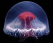 thumb-image-2024-02-29T14:07:28.537Z