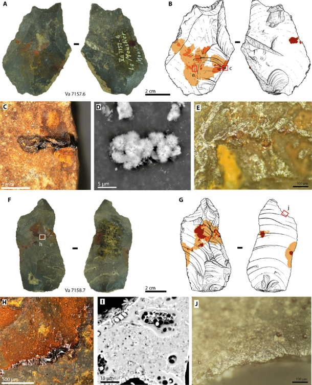 Imagem mostra detalhes dos artefatos analisados que apresentavam a cola em pontos da sua superfície. (Fonte: Science Advances/Reprodução)