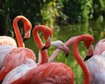 GettyImages-1435903233.jpg