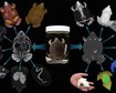 mais-de-13-mil-especies-de-vertebrados-podem-ser-exploradas-online-de-graca-thumb.png