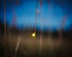 GettyImages-875088160.jpg