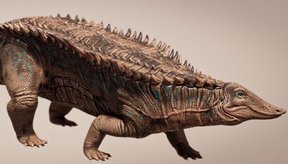tanques-de-guerra-vivos-novo-ancestral-do-crocodilo-e-identificado-por-cientistas-thumb.png