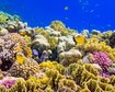 GettyImages-525473122.jpg