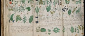 manuscrito-voynich-uma-jornada-indecifravel-pela-historia-medieval-banner.png