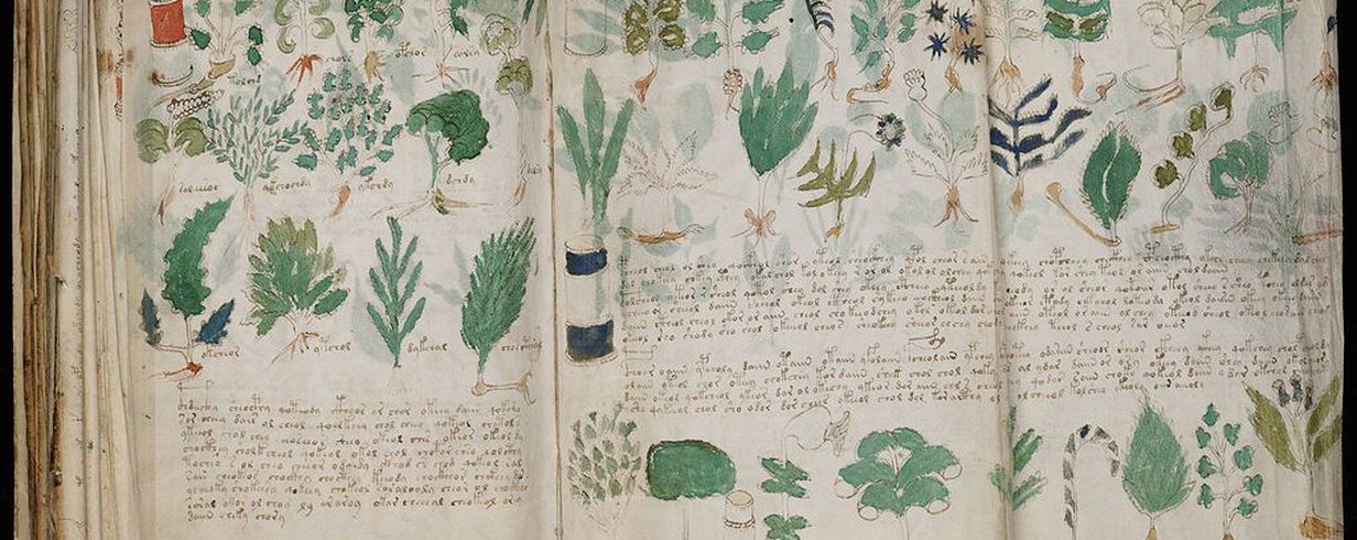 manuscrito-voynich-uma-jornada-indecifravel-pela-historia-medieval-thumb.png