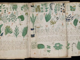 manuscrito-voynich-uma-jornada-indecifravel-pela-historia-medieval-thumb.png
