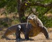 GettyImages-676518196.jpg