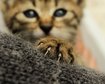 GettyImages-855142034.jpg