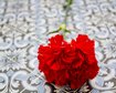 GettyImages-1299800177.jpg
