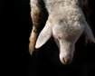 GettyImages-1312443081.jpg