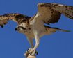 GettyImages-106462903.jpg