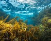 GettyImages-1728210890.jpg