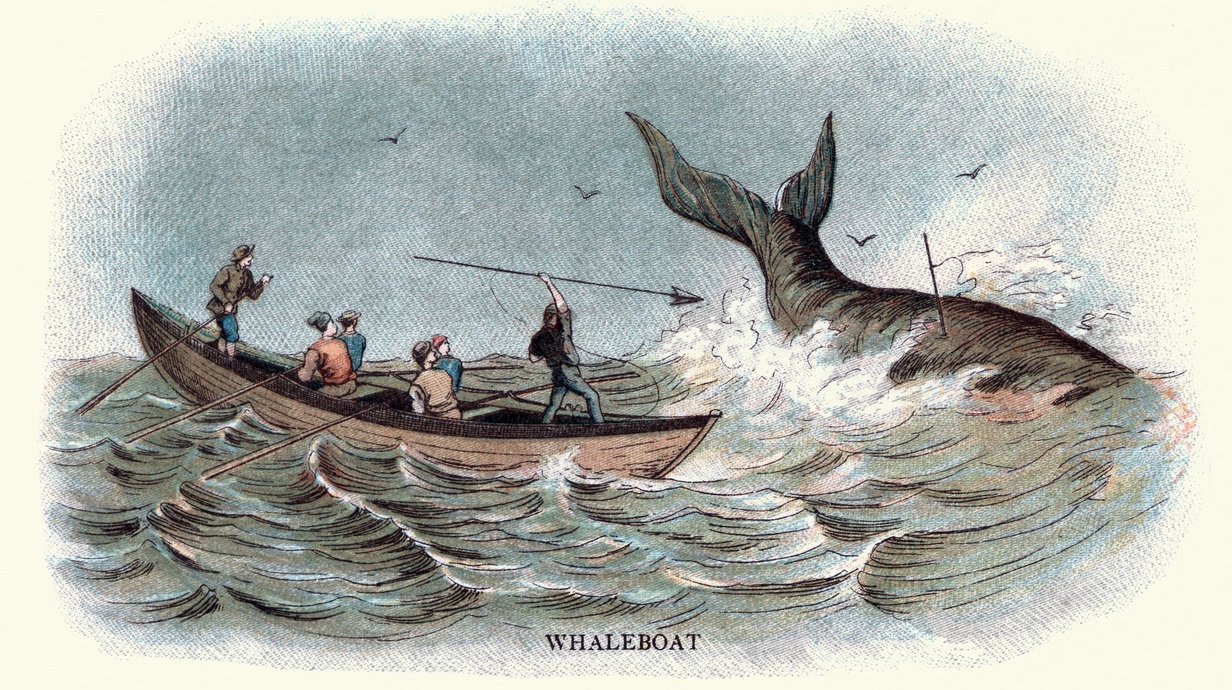 como-os-vikings-conseguiam-pescar-baleias-azuis-thumb.png