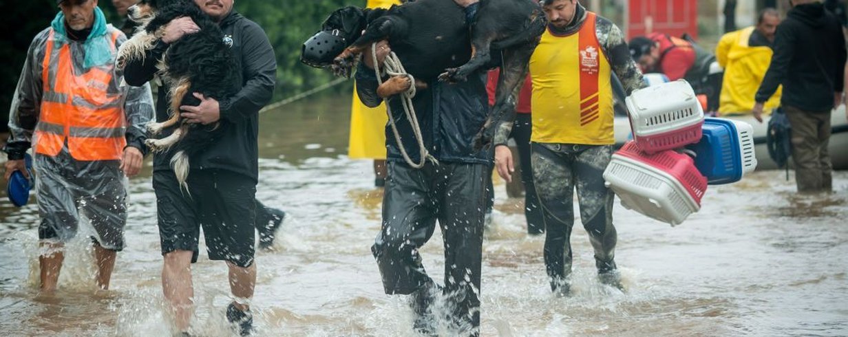 refugiados-climaticos-uma-crise-global-negligenciada-internacionalmente-thumb.png