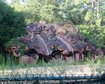 5-fotos-do-river-country-o-parque-abandonado-da-disney-que-voce-nao-deveria-ver-thumb.png