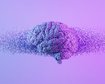 existe-microbioma-cerebral-e-se-sim-qual-e-sua-funcao-exatamente-banner.png
