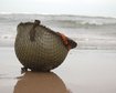 GettyImages-157284773.jpg