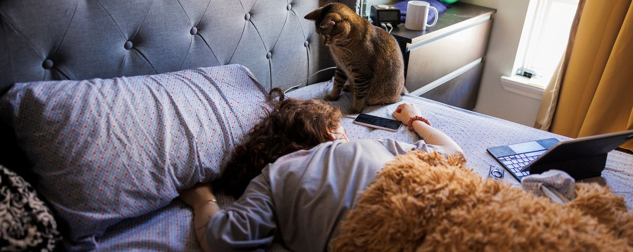 por-que-os-gatos-miam-mais-alto-de-madrugada-thumb.png