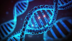 7-anomalias-geneticas-que-beneficiam-os-humanos-thumb.png