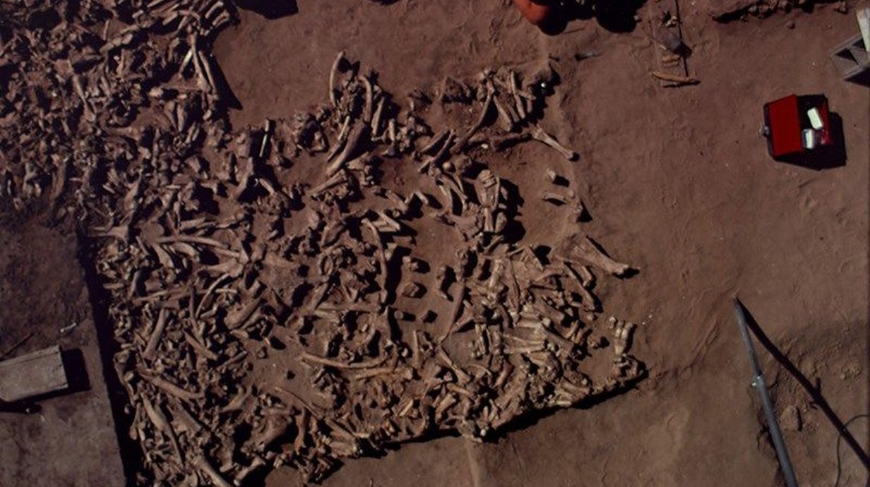 41-mil-ossos-de-bisao-misterios-de-um-massacre-pre-historico-thumb.png