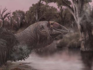 gigante-pre-historico-fosseis-revelam-segredos-de-antiga-ave-australiana-thumb.png