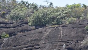 arte-rupestre-gigante-na-america-do-sul-pode-ser-a-maior-ja-encontrada-thumb.png