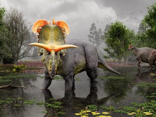 lokiceratops-o-gigante-pre-historico-com-um-capacete-colossal-thumb.png