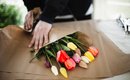 alerta-tulipas-compradas-em-lojas-podem-ser-mortais-diz-estudo-thumb.png