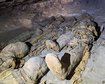 cidade-dos-mortos-arqueologos-descobrem-mais-de-300-tumbas-em-assua-no-egito-thumb.png