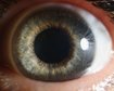 o-que-acontece-com-nossos-olhos-enquanto-respiramos-thumb.png
