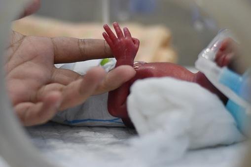 (Fonte: Getty Images/Reprodução)