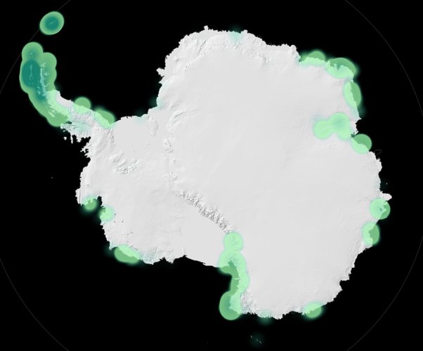 Mapa de calor mostrando onde a vegetação ocorre na Antártica. (Fonte: Andrew Gray 