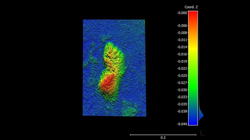 Fotogrametria em 3D de uma pegada. (Fonte: Charles Helm, Live Science/ Divulgação)