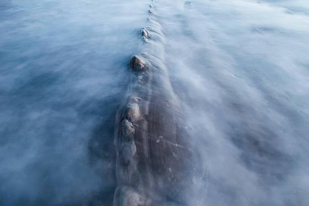 Novas espécies marinhas são descobertas no Pacífico, mantendo o mistério sobre criaturas gigantes. (Fonte: Getty Images/Reprodução)