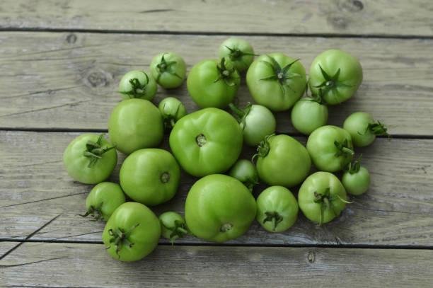 Altas taxas de solanina no tomate verde tornam alimento perigoso para os cães. (Fonte: Getty Images)