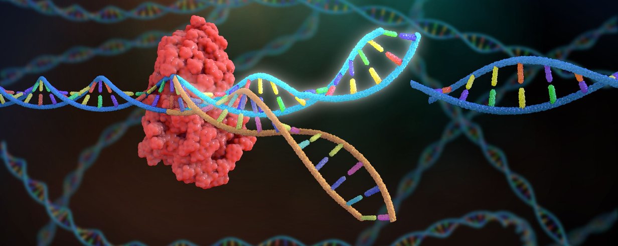 tecnica-de-edicao-genetica-podera-ser-usada-em-dna-fetal-thumb.png