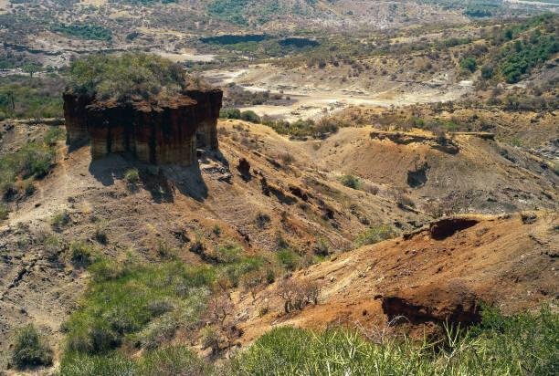 A geografia única do desfiladeiro de Olduvai preserva excepcionalmente fósseis e artefatos. (Fonte: Getty Images/Reprodução)