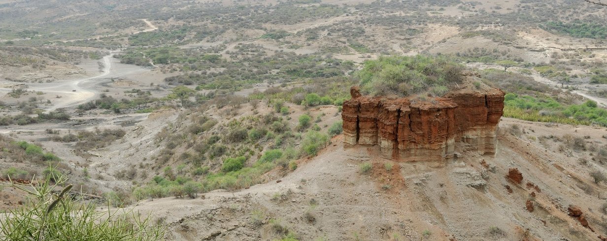 desfiladeiro-de-olduvai-um-tesouro-paleontologico-no-coracao-da-africa-thumb.png