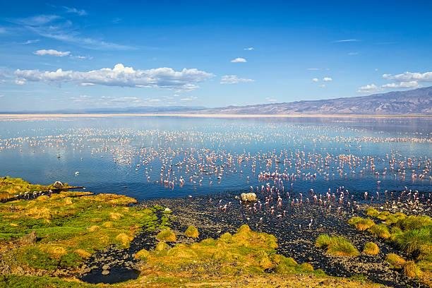 Lago Natron. (Fonte: Getty Images/Reprodução)