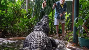 cassius-crocodilo-gigante-de-mais-de-120-anos-morre-na-australia-thumb.png