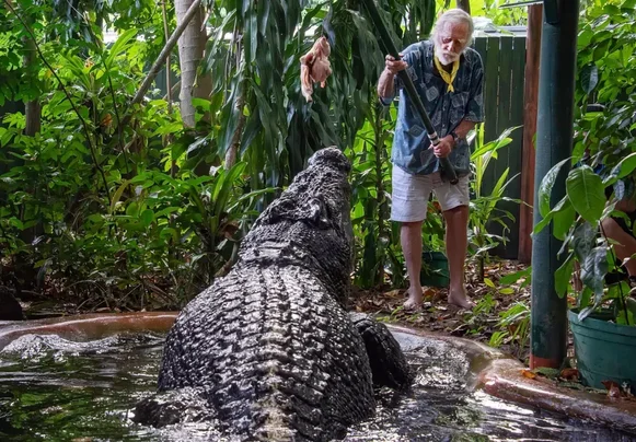 cassius-crocodilo-gigante-de-mais-de-120-anos-morre-na-australia-thumb.png