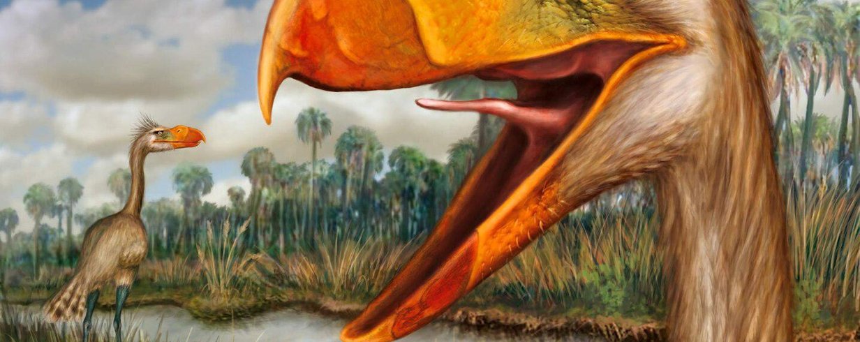 aves-carnivoras-de-3-m-de-altura-viviam-na-colombia-ha-13-milhoes-de-anos-thumb.png