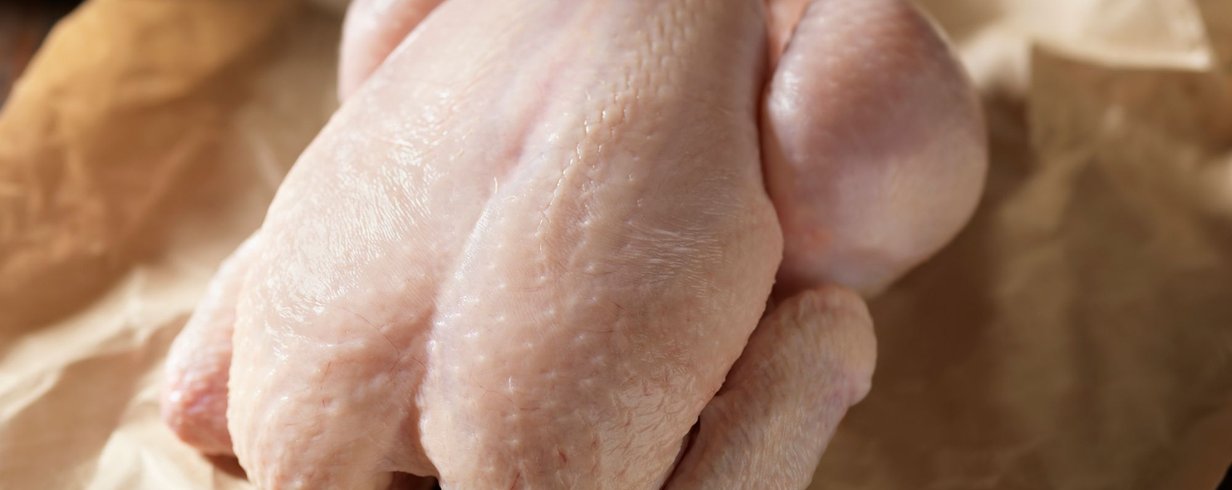 por-que-nao-podemos-comer-carne-de-frango-mal-passada-thumb.png